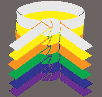 White - Purple Belts